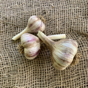 Rose de Lautrec Garlic Half Pound