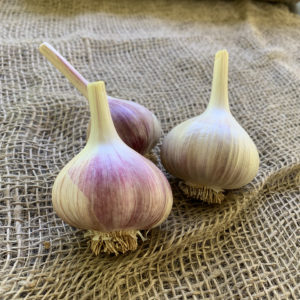 Musik Garlic Half Pound