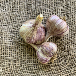 Siberian Garlic Half Pound